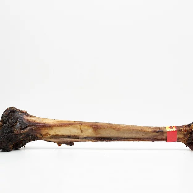 Ostrich Caveman Bone Dog Treat