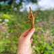 Natural Chicken Feet – Single Air-Dried Dog Treat (Sold Individually).