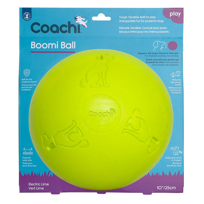 Coachi Boomi Ball in Electric Lime, 10-inch 25cm chase and push dog ball in packaging