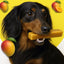 Mango Yak Dog Chew
