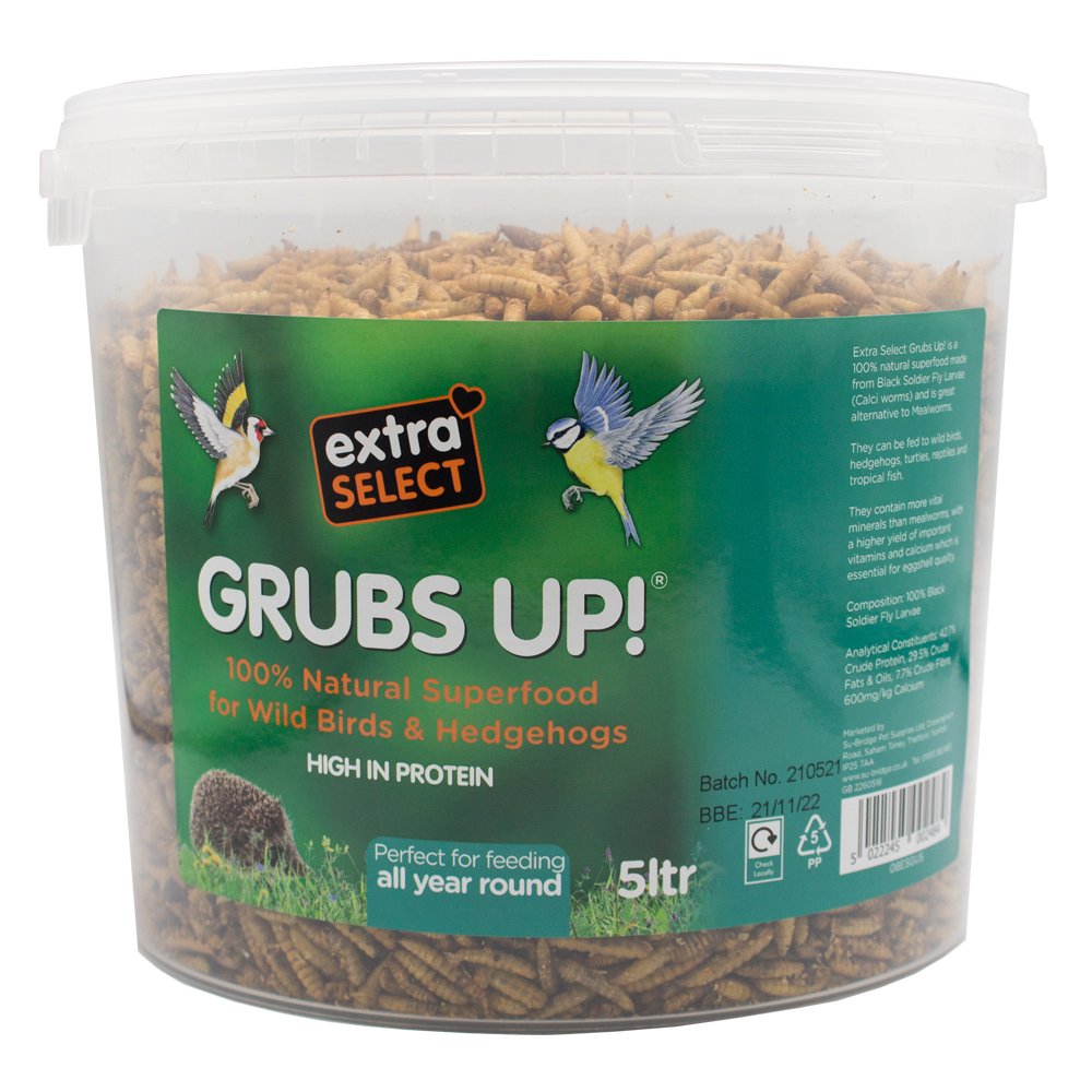 Container of 'Grubs Up!' bird food with 'extra select' branding on a white background