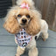 Pup Chic - Dog Cooling Bandana -  Oodles of Poodles