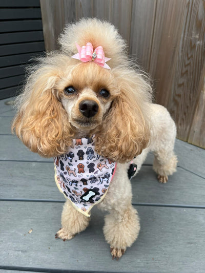 Pup Chic - Dog Cooling Bandana -  Oodles of Poodles