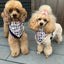 Pup Chic - Dog Cooling Bandana -  Oodles of Poodles