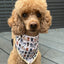 Pup Chic - Dog Cooling Bandana -  Oodles of Poodles