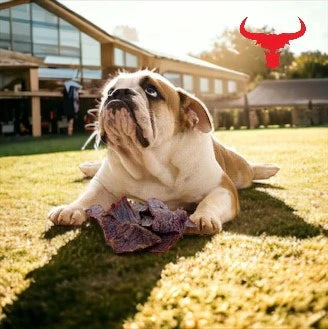 Buffalo Meat Jerky - Dog Treats - 100g