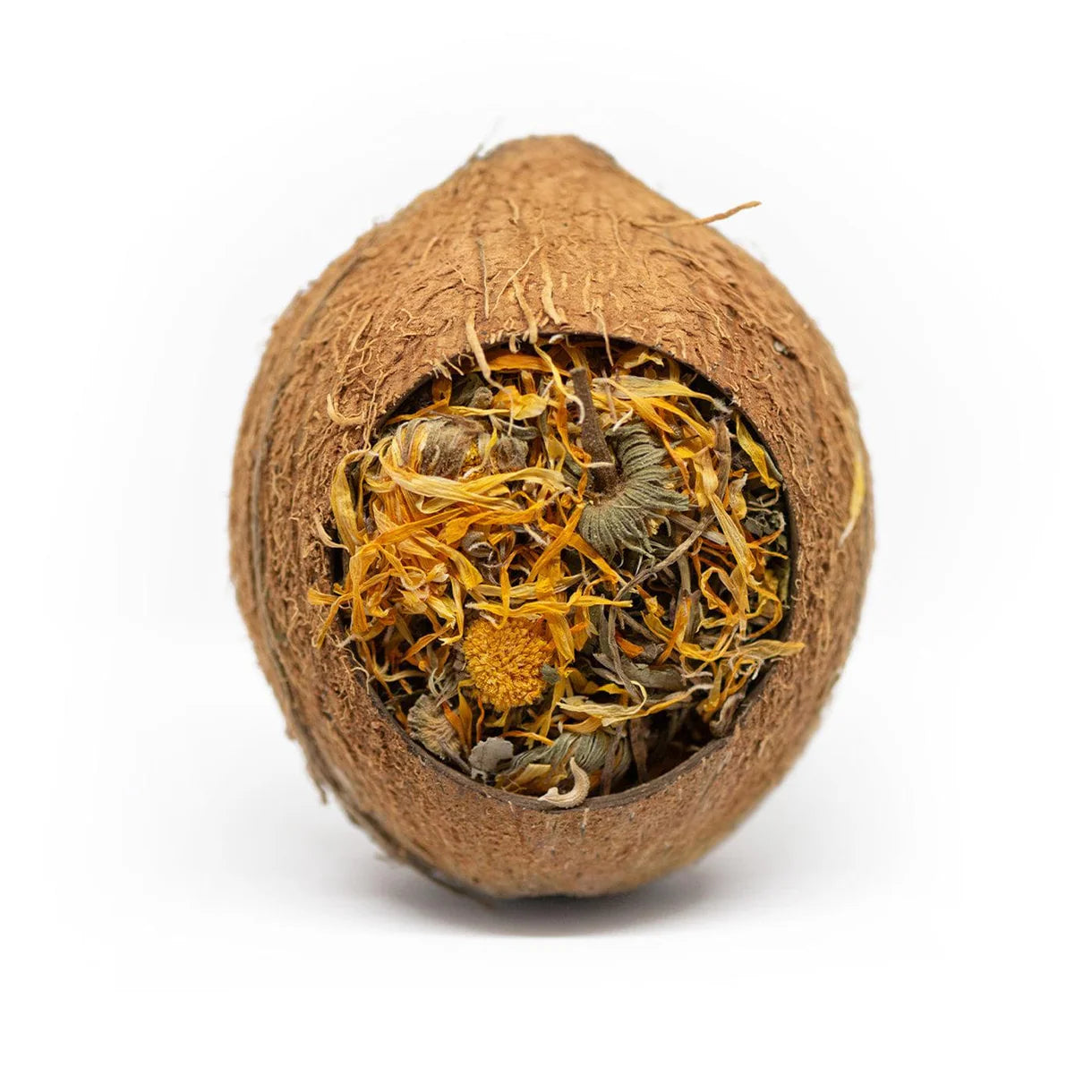 Close-up of Natural Nibbles Forage Filled Coconut showing natural botanical mix of dried flowers and herbs inside a whole coconut shell – enrichment chew for small animals.