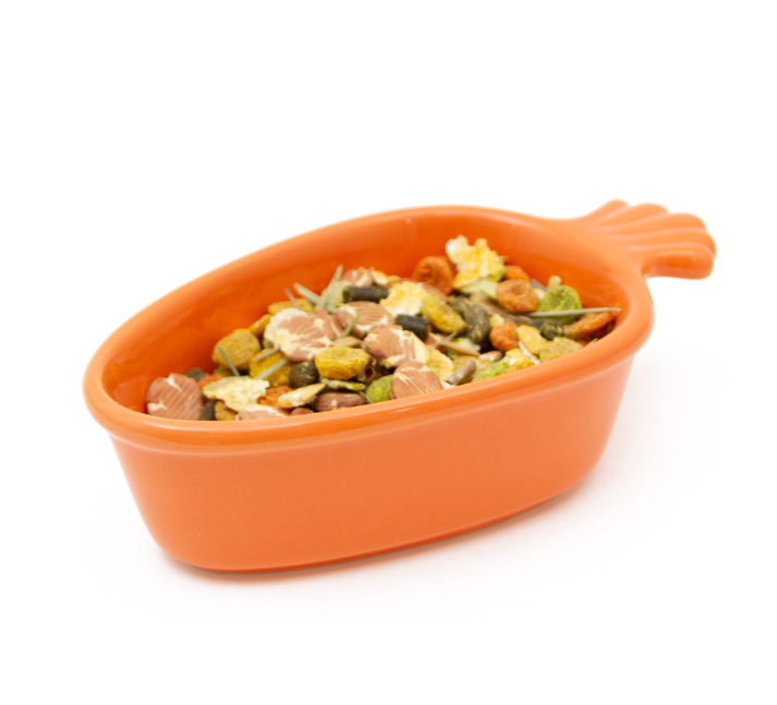 Orange dolomite pet dish shaped like a carrot, with a green leaf-shaped handle