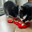 Two cats enjoying food spread across a red Örva Lobster Lick Mat