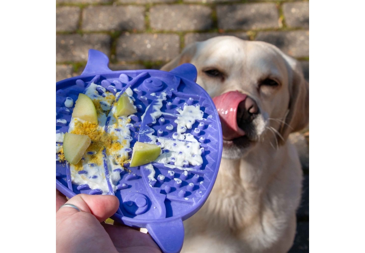 Purple Örva Pufferfish Lick Mat topped with food with a dog in the background