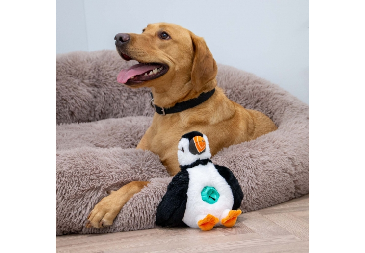 Dog relaxing in a bed beside the Örva Puffin Treat Belly enrichment toy