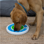 Dog exploring the green lick mat in an Örva Puzzle Ring enrichment toy