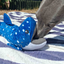 Dog searching inside the mouth of an Örva Snuffle Basking Shark enrichment toy