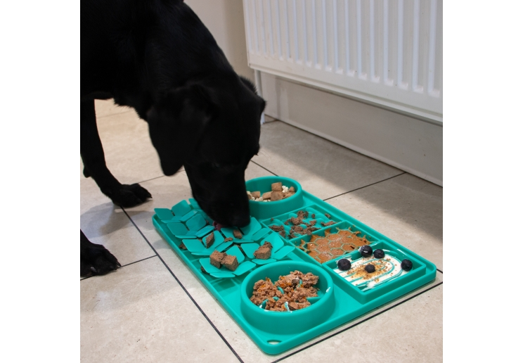 Black dog eating from a teal Örva Suction Cup Slow Feeding Station filled with different foods