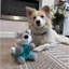 Dog relaxing indoors beside the grey Örva Wolf Ball Belly enrichment toy