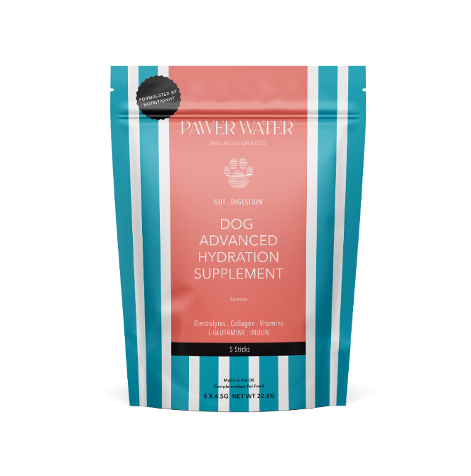 Pawer Water Gut and Digestion Advanced Hydration Supplement for Dogs – pack of 5 sticks