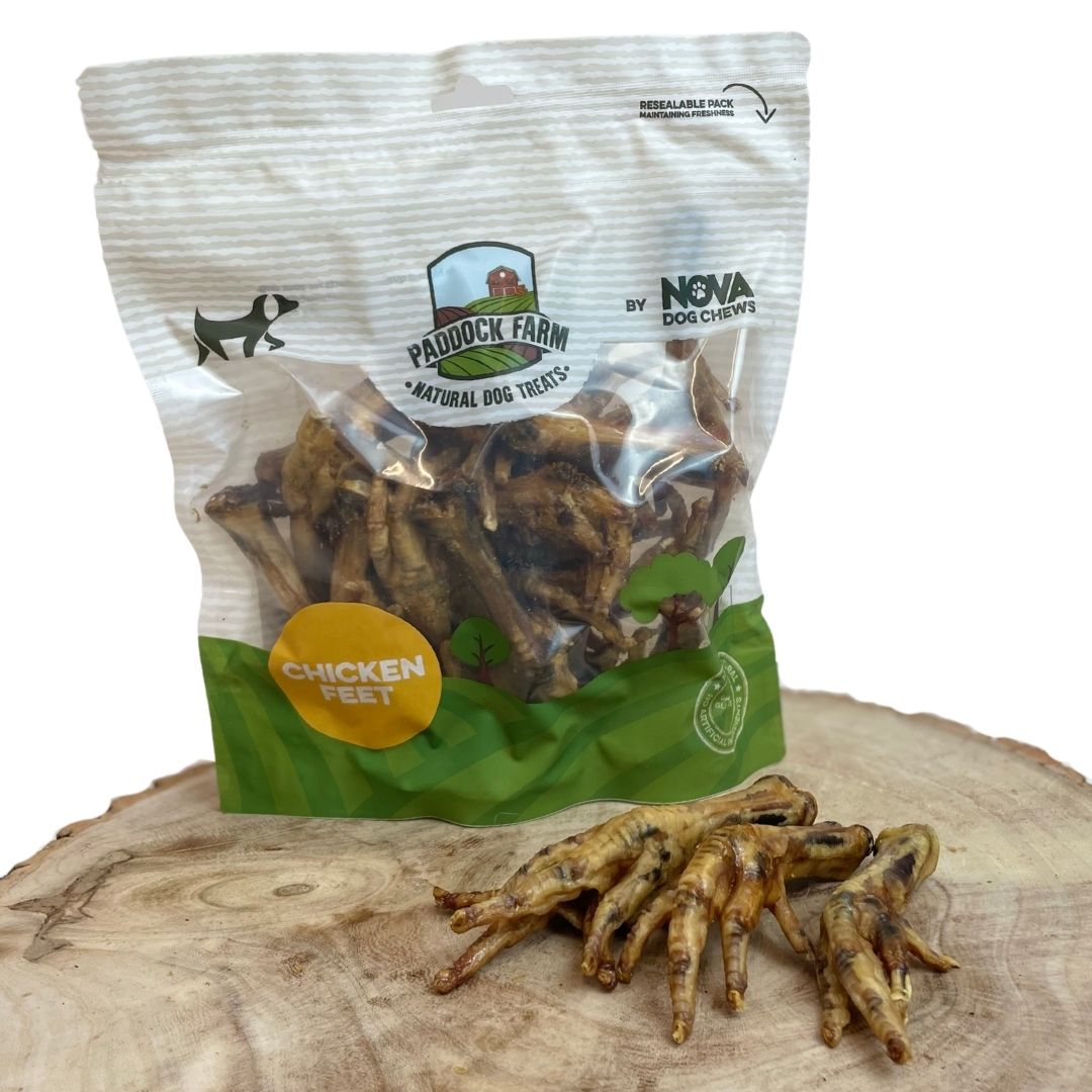 Bag of Paddock Farm Chicken Feet natural dog treats with loose air-dried chews in front, grain-free single-ingredient treats supporting joint health, sold at Amy’s Pet Supplies.