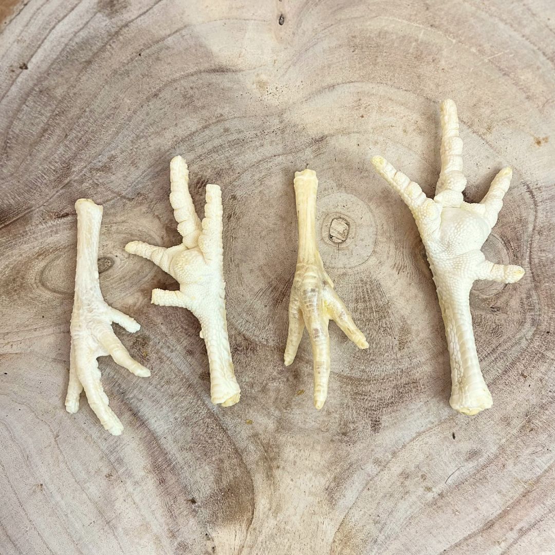 Four natural puffed chicken feet dog treats on a rustic wooden background, crunchy single-ingredient treats high in protein and glucosamine, sold at Amy’s Pet Supplies.