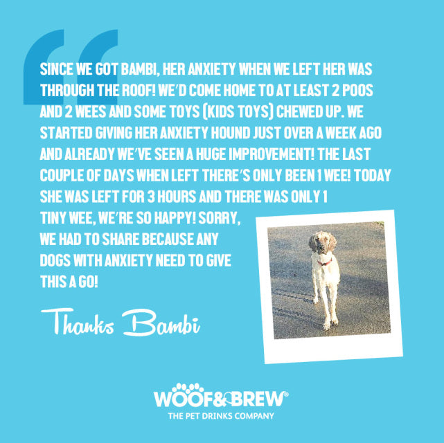 Woof & Brew - Anxious Hound Herbal Tonic For Dogs with Anxiety  - 330ml