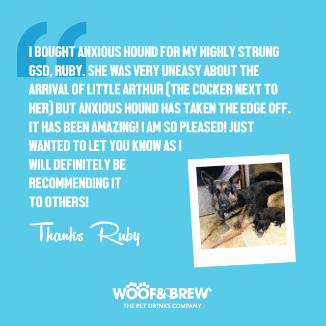Woof & Brew - Anxious Hound Herbal Tonic For Dogs with Anxiety  - 330ml