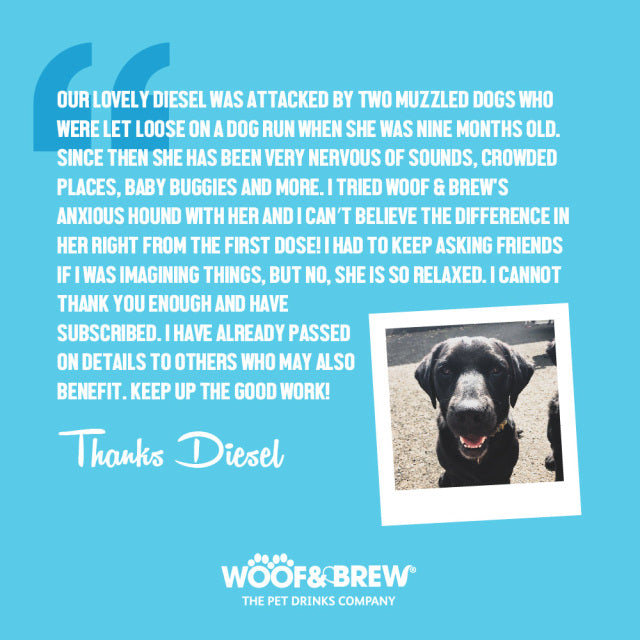Woof & Brew - Anxious Hound Herbal Tonic For Dogs with Anxiety  - 330ml