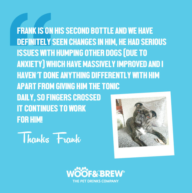 Woof & Brew - Anxious Hound Herbal Tonic For Dogs with Anxiety  - 330ml