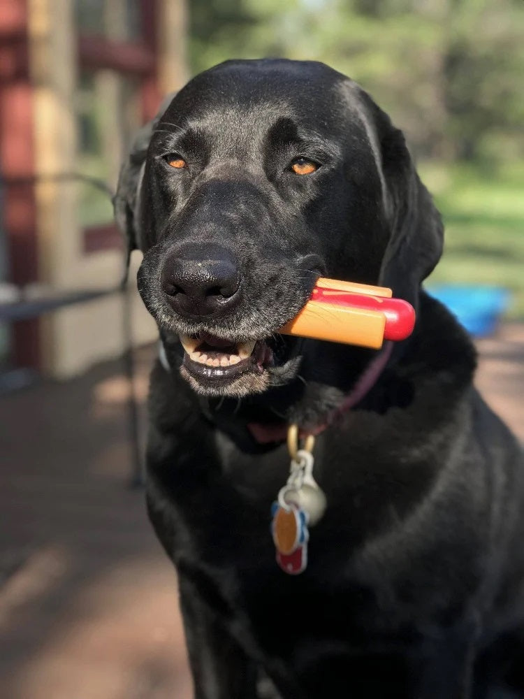 SodaPup Hot Dog Power Chewer Toy