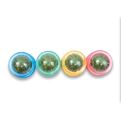 Tabby Patch compressed catnip rollers shown in blue, green, yellow and pink; one roller supplied in a random colour