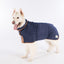 Dog wearing a blue coat on a white background