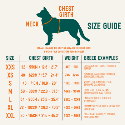 Twiggy Tags Apex harness size guide with measuring diagram, chest girth, approximate weight, minimum neck and neck-base measurements from XXS to XXL.
