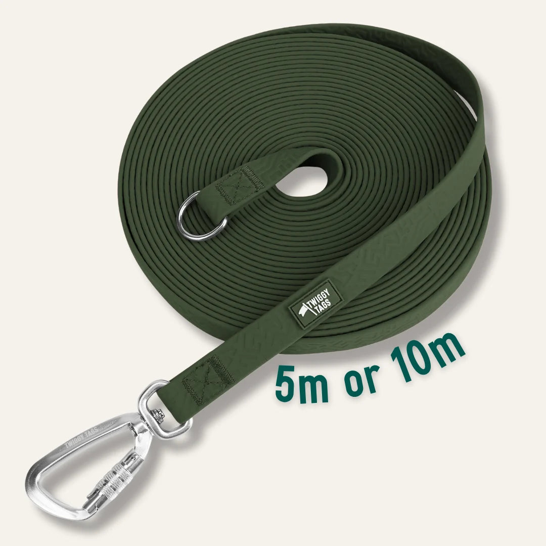 Twiggy Tags Tidal Waterproof Longline in Fern green, coiled with an embossed surface, silver locking carabiner and D-ring.