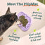 Small dog licking spreadable food from purple Woof FlipMat Mini enrichment mat