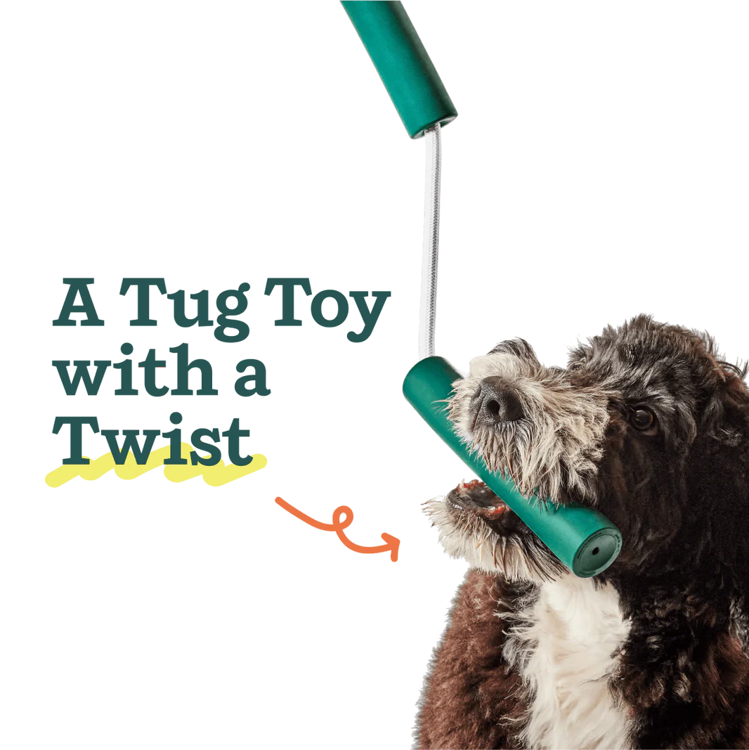 Dog playing with Woof Nomchucks dual-purpose tug toy with green rubber handles