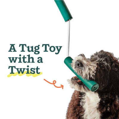Dog playing with Woof Nomchucks dual-purpose tug toy with green rubber handles