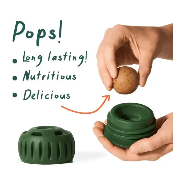 Hands placing a refill Pop into an open green Woof Pupsicle with the lid beside it