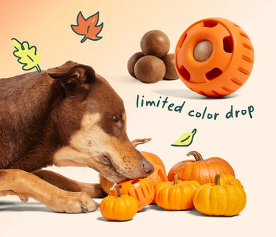 Dog licking an orange Woof Pupsicle beside pumpkins, with refill treats shown in the promotional image