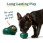 Dog licking a green Woof Pupsicle with a refill Pop, alongside an open toy showing the treat inside