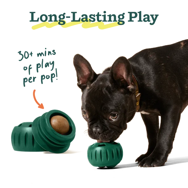 Dog licking a green Woof Pupsicle with a refill Pop, alongside an open toy showing the treat inside