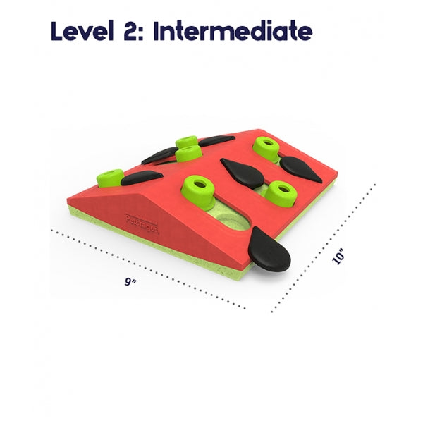 Nina Ottosson  Melon Madness Puzzle & Play