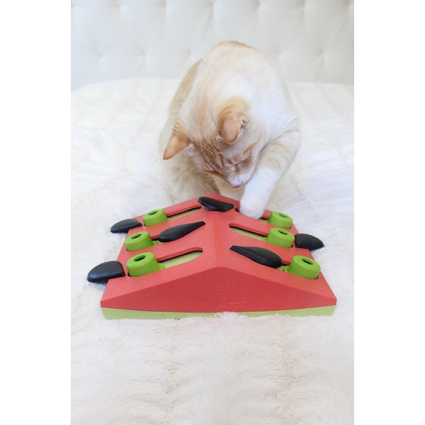 Nina Ottosson  Melon Madness Puzzle & Play