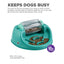 Nina Ottosson Dog Spin N' Eat