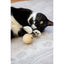 Naturals for Cat -  Catnip Wooden Ball