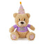 Birthday Bear Dog Toy