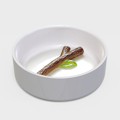 Fetch Stick Dog Bowl