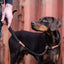 Ruff & Tumble - Dog Leads - All Colours