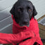 Ruff & Tumble - Drying Mitts - All Colours