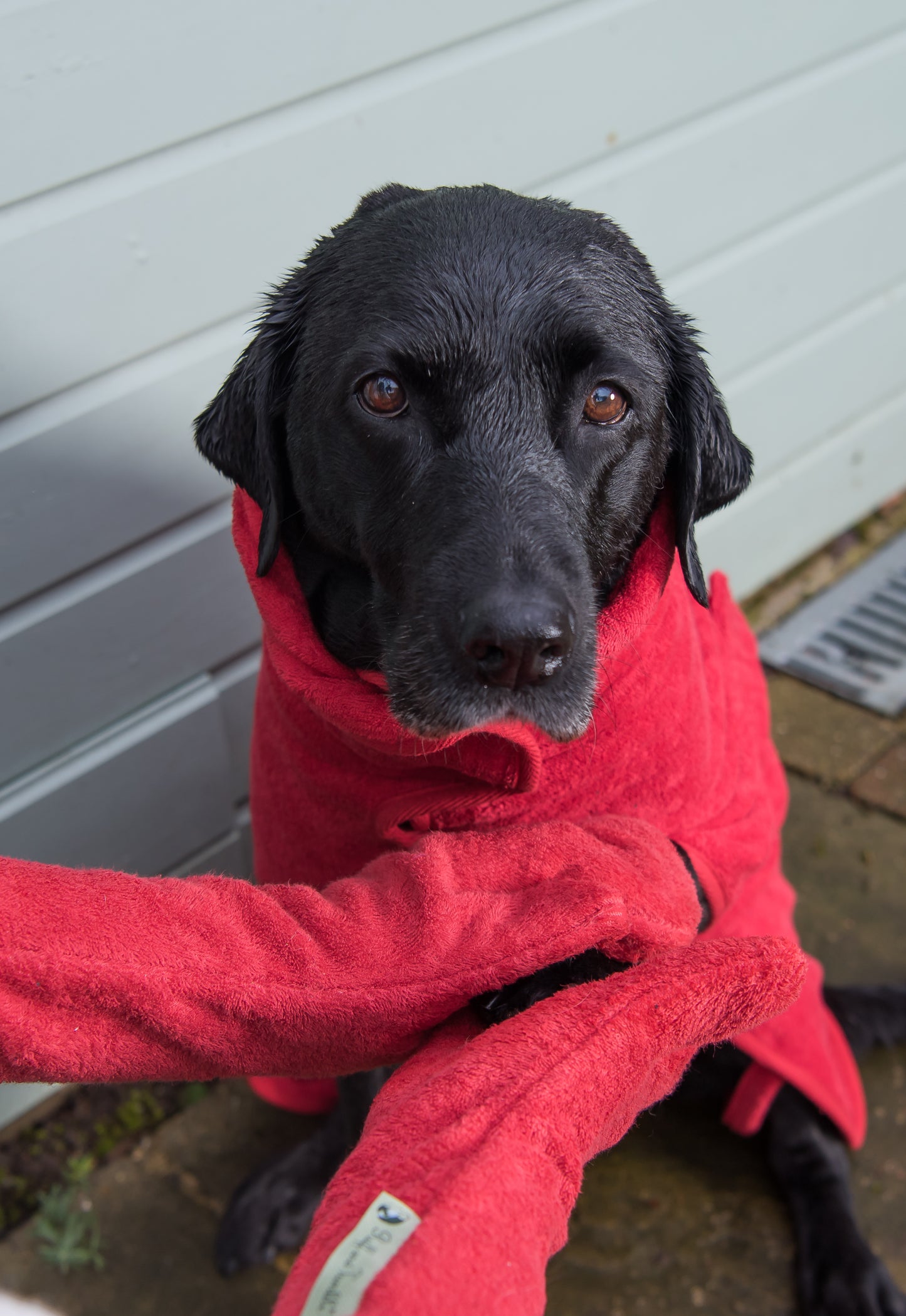 Ruff & Tumble - Drying Coats