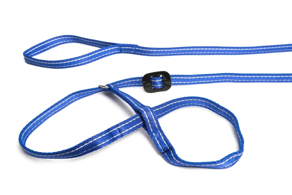 Gencon All-in-one Dog Headcollar and Lead