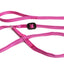 Gencon All-in-one Dog Headcollar and Lead
