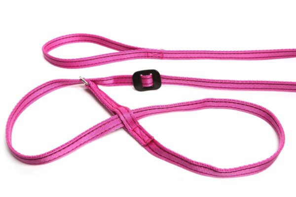 Gencon All-in-one Dog Headcollar and Lead